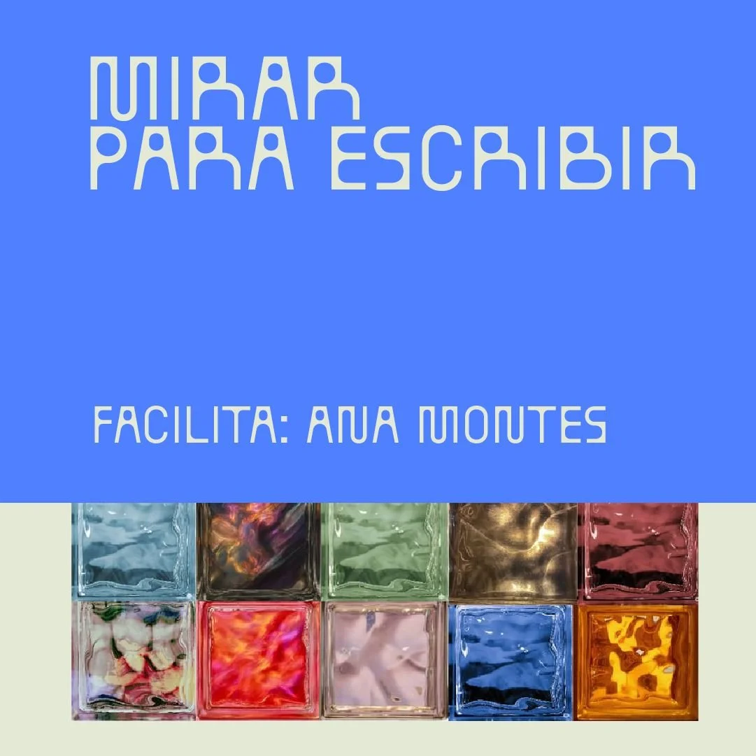 WEB C (19)-fotor-20260424201635.jpg