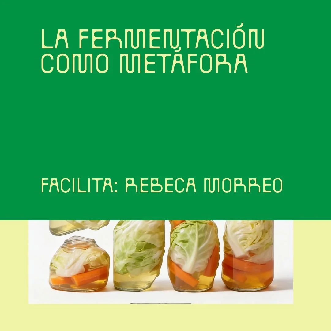 WEB C (4)-fotor-20260112161045.jpg