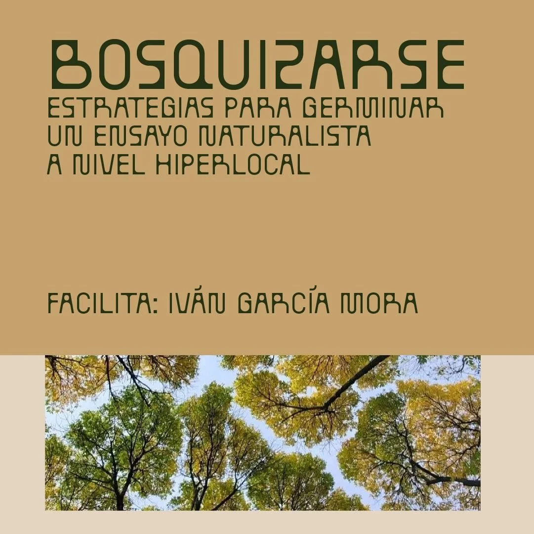 WEB C (16)-fotor-202604090836.jpg