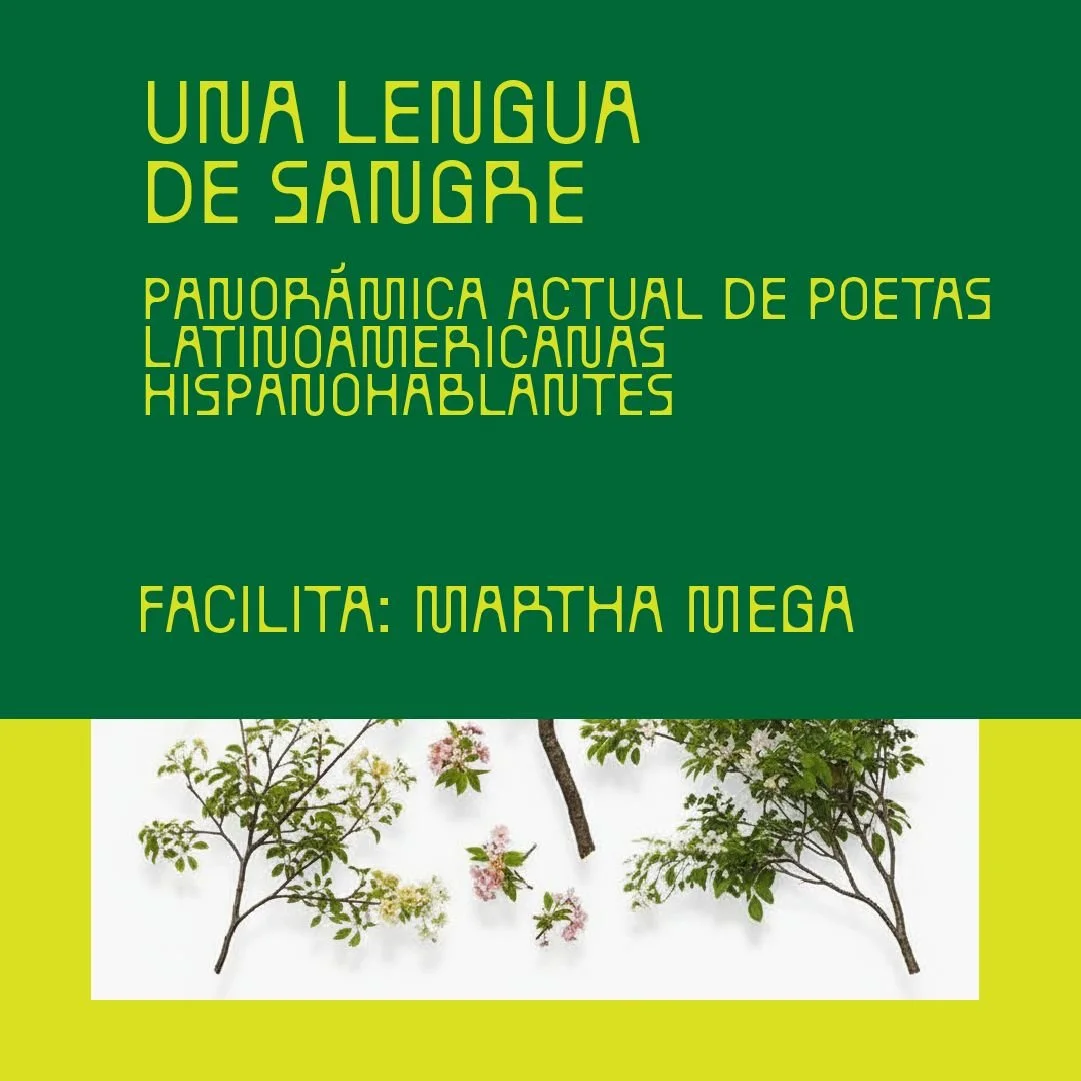 WEB C (9)-fotor-2026022613733.jpg