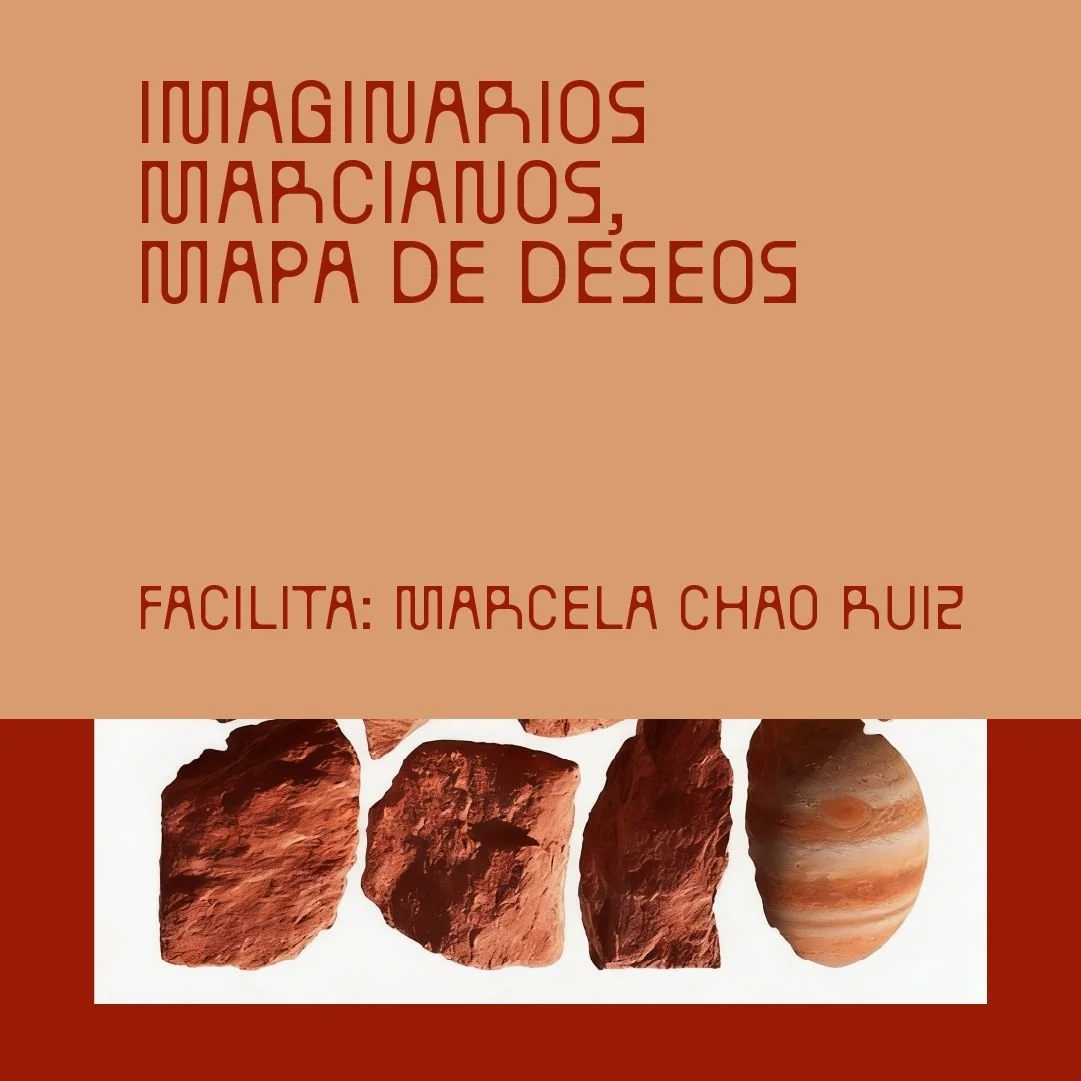 WEB C (10)-fotor-20260226132456.jpg