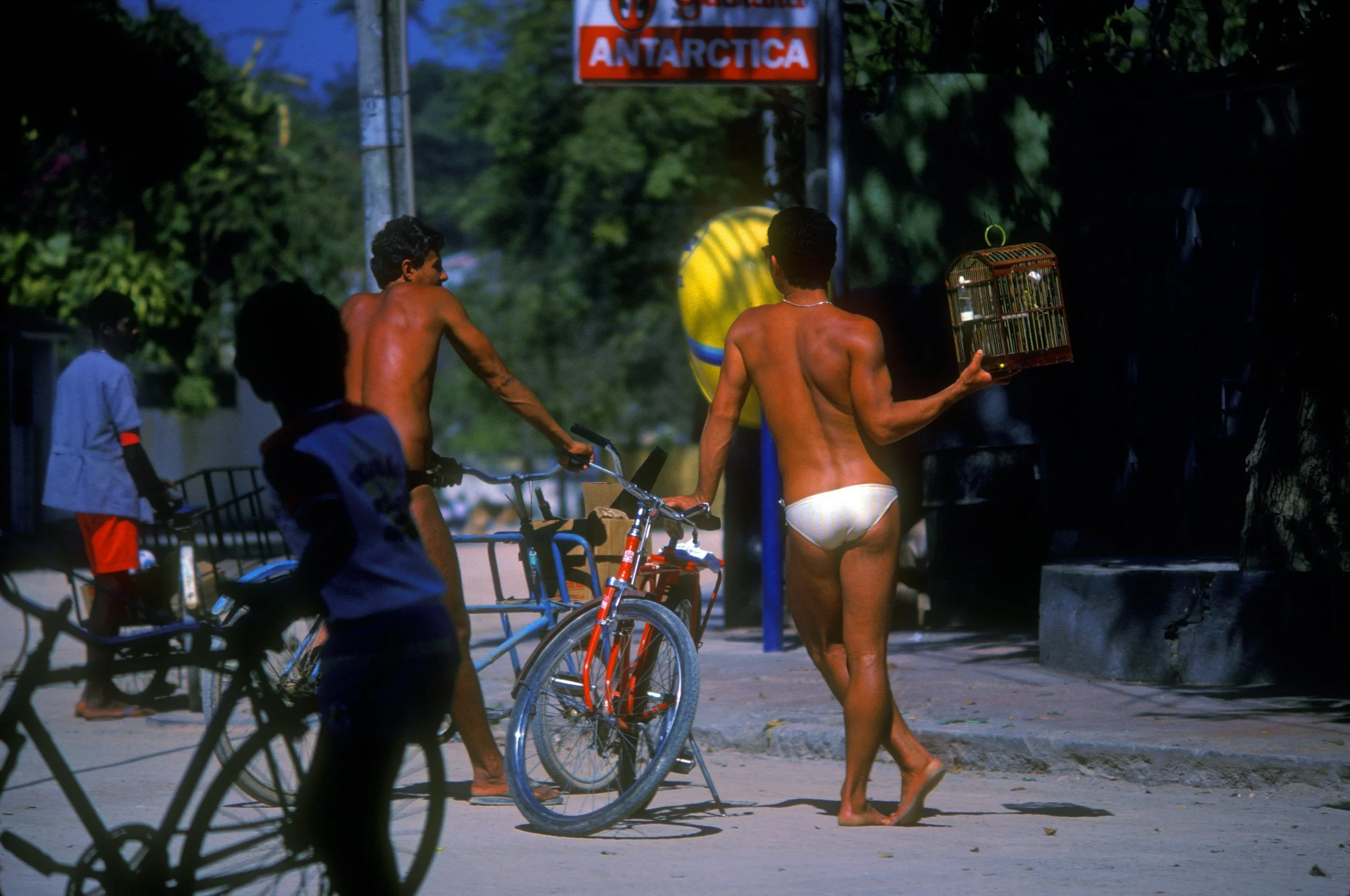 _Birdcage_Parqueta_Island.Brazil_.jpg