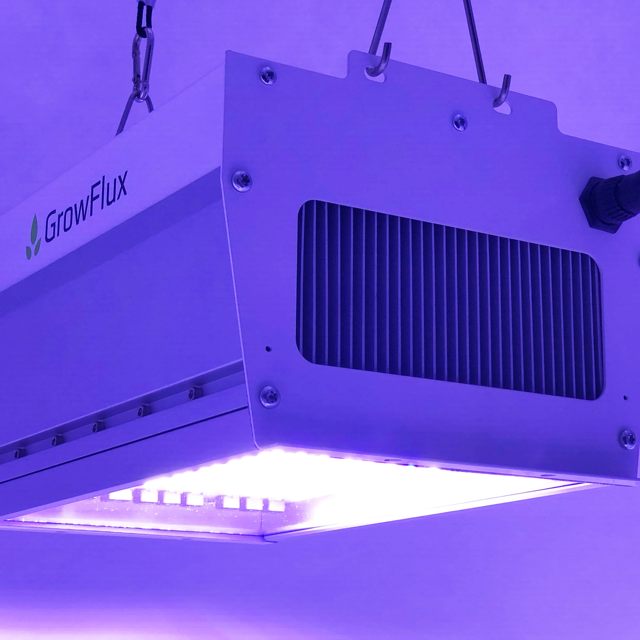 Very high proportion of short wavelength photons promote resin and terpene development