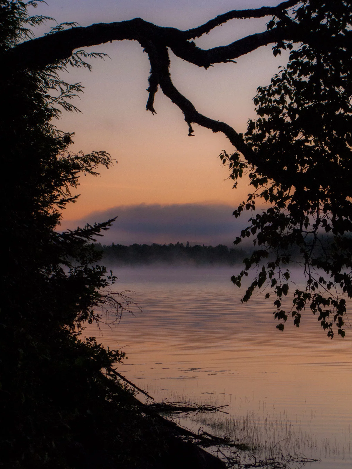 Camping-Trip-1.jpg