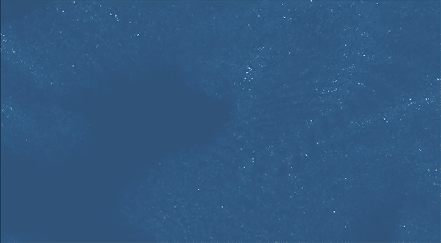 3 second excerpt from a procedurally generated visual effect