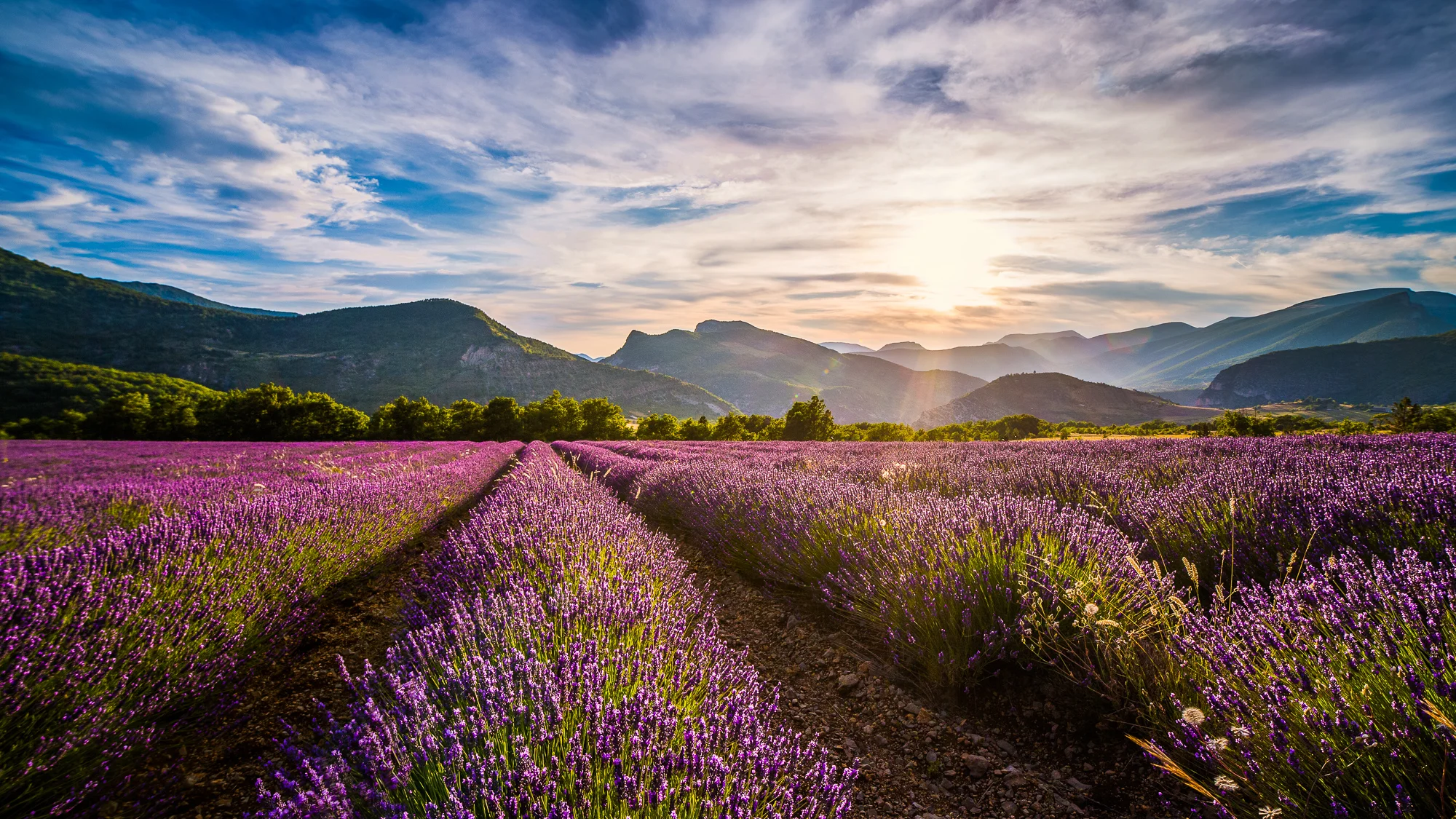 Paysages de provence
