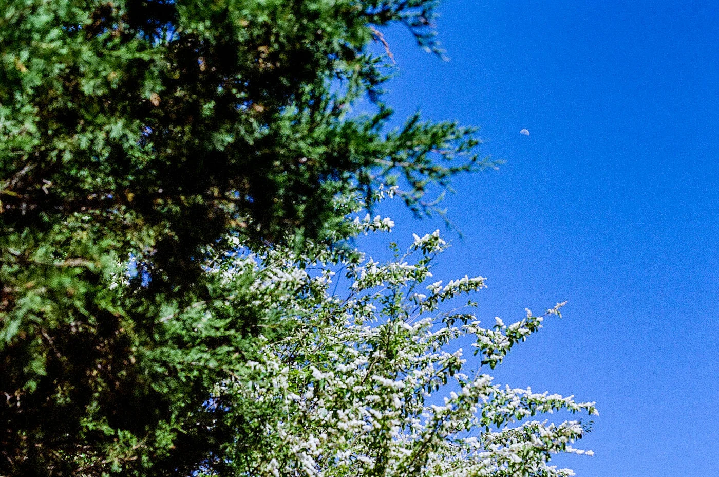 Expired-Kodak-UltraMax-400-001.jpg