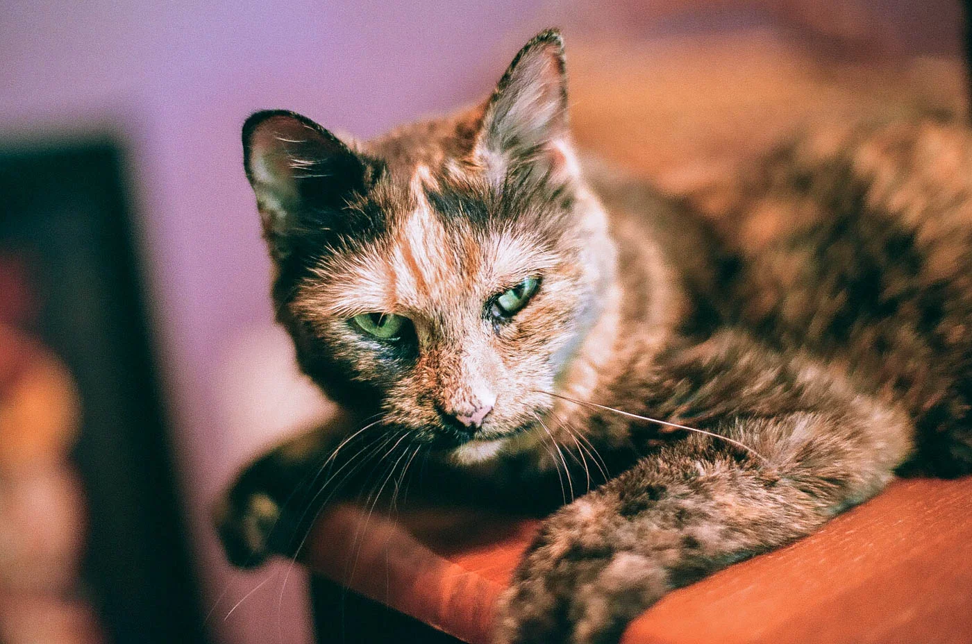 Fujifilm-Superia-X-Tra-400-009.jpg