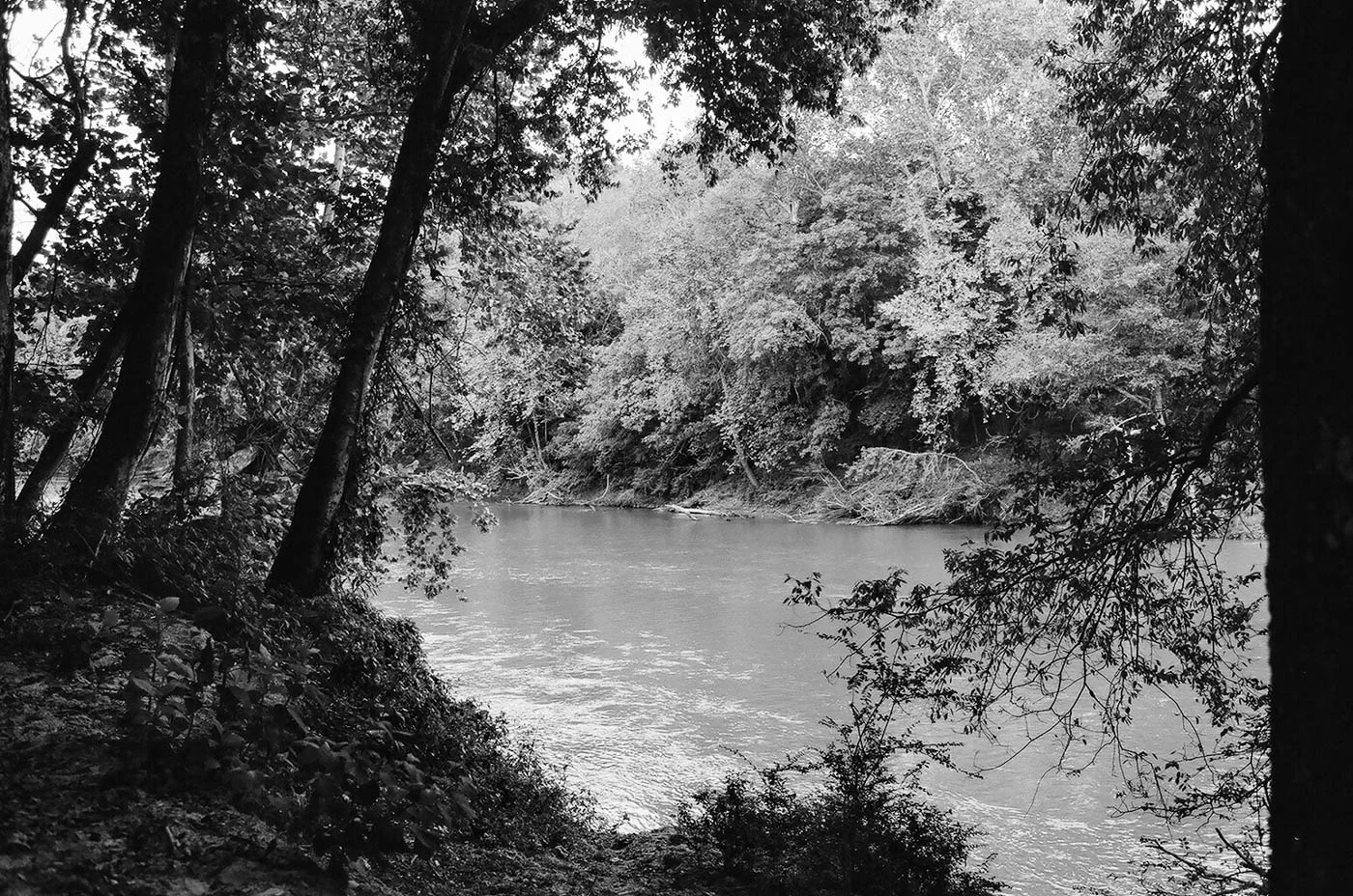 Fujifilm Neopan Acros 100
