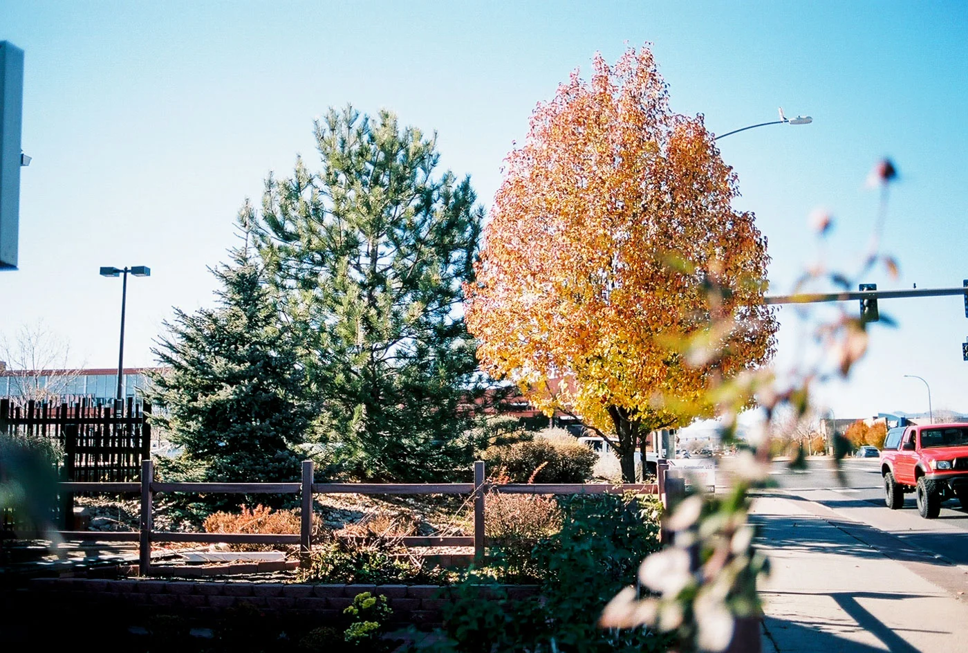 Kodak Portra 400