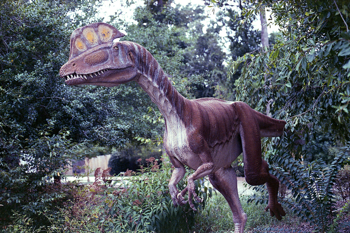 kodak-ultramax-400-zoo-019.jpg