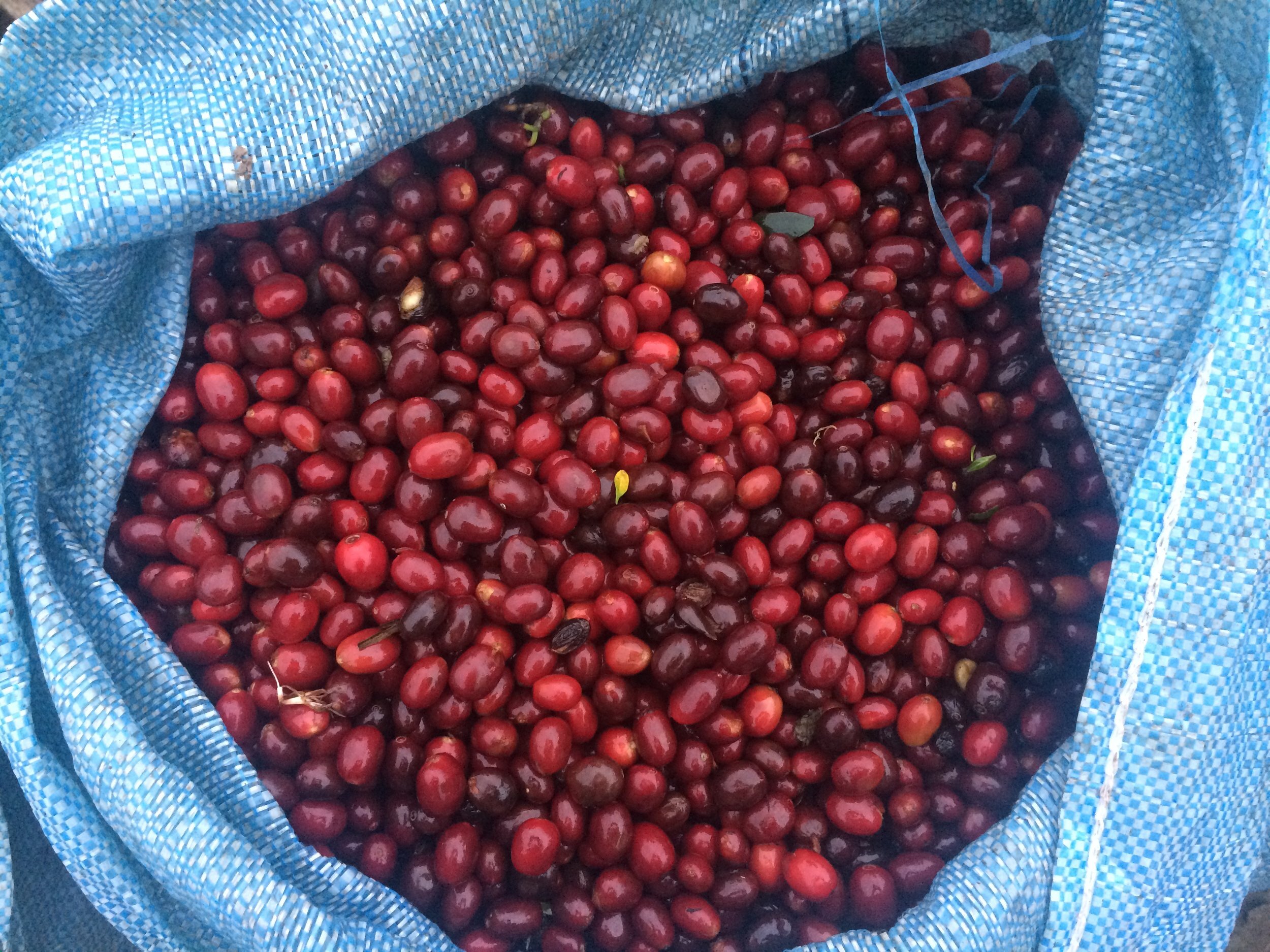 Nota Administrativa #1 | Visión Empresarial