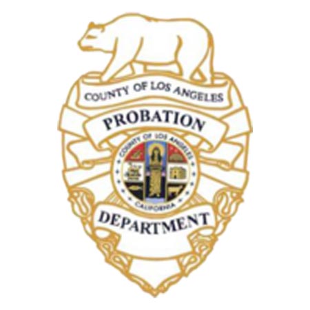 LA probation .jpg