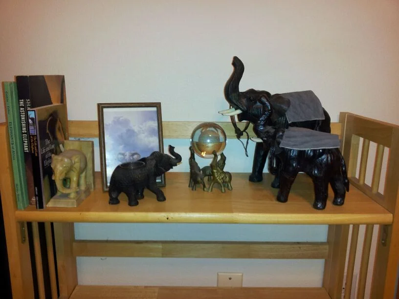 Elephant.jpg
