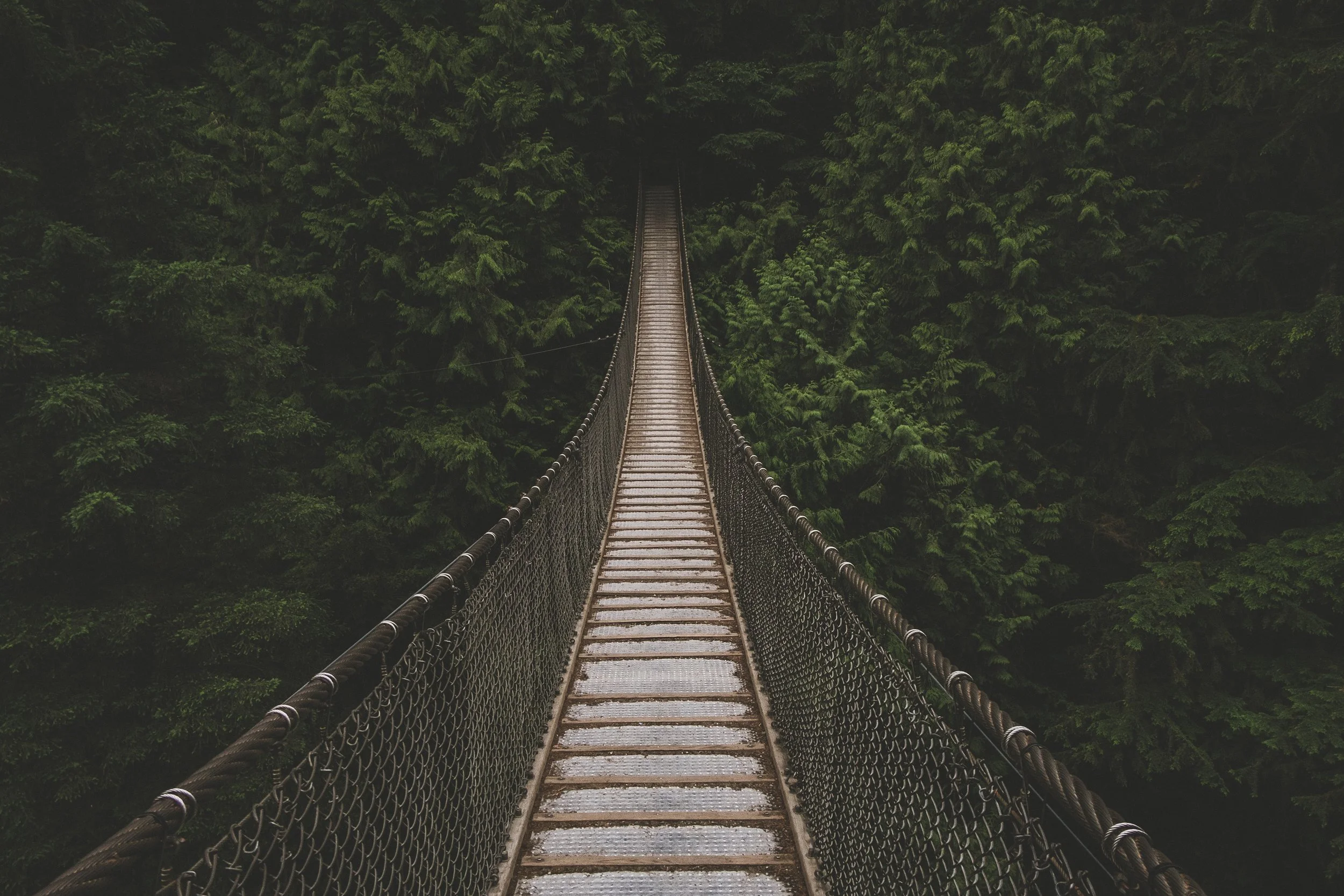 Photo by Marc-Antoine Dépelteau on Unsplash