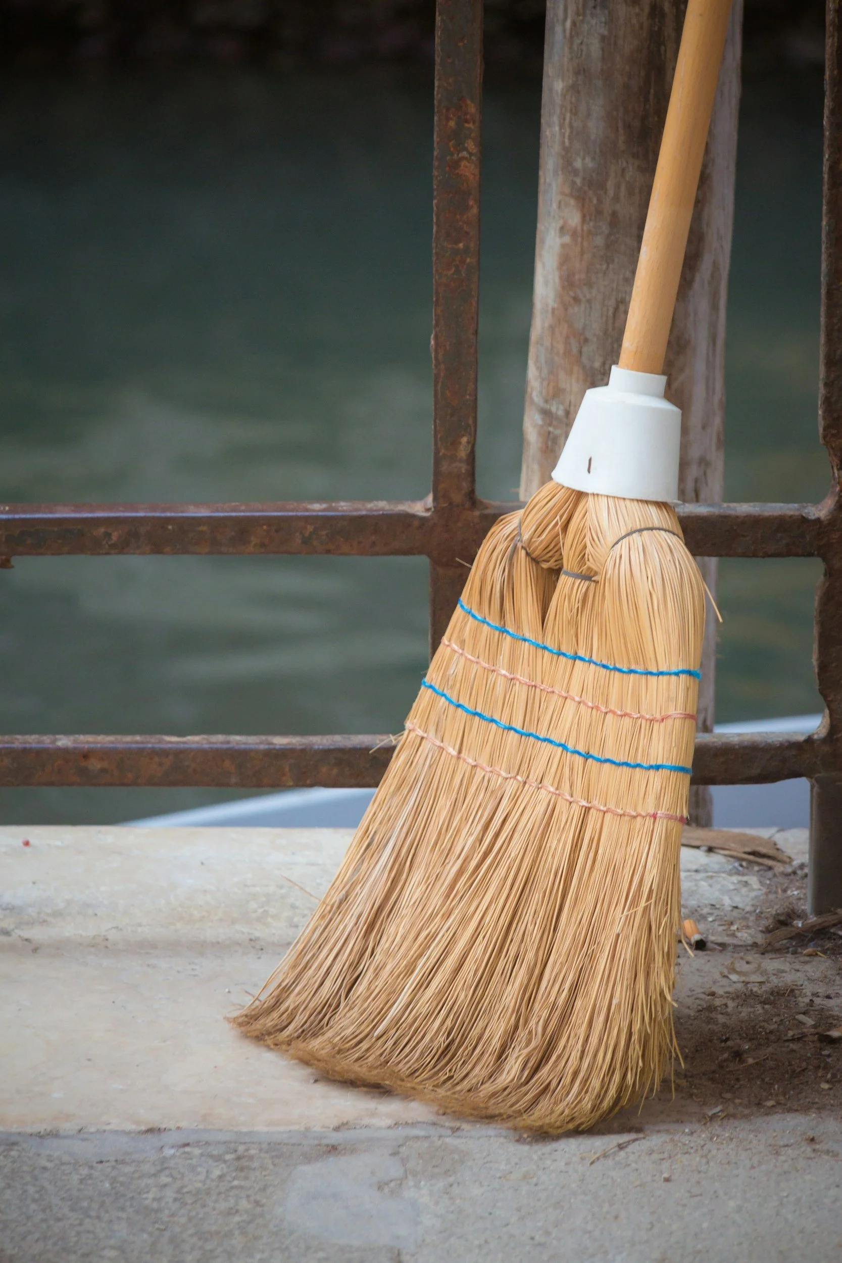 Witch broom