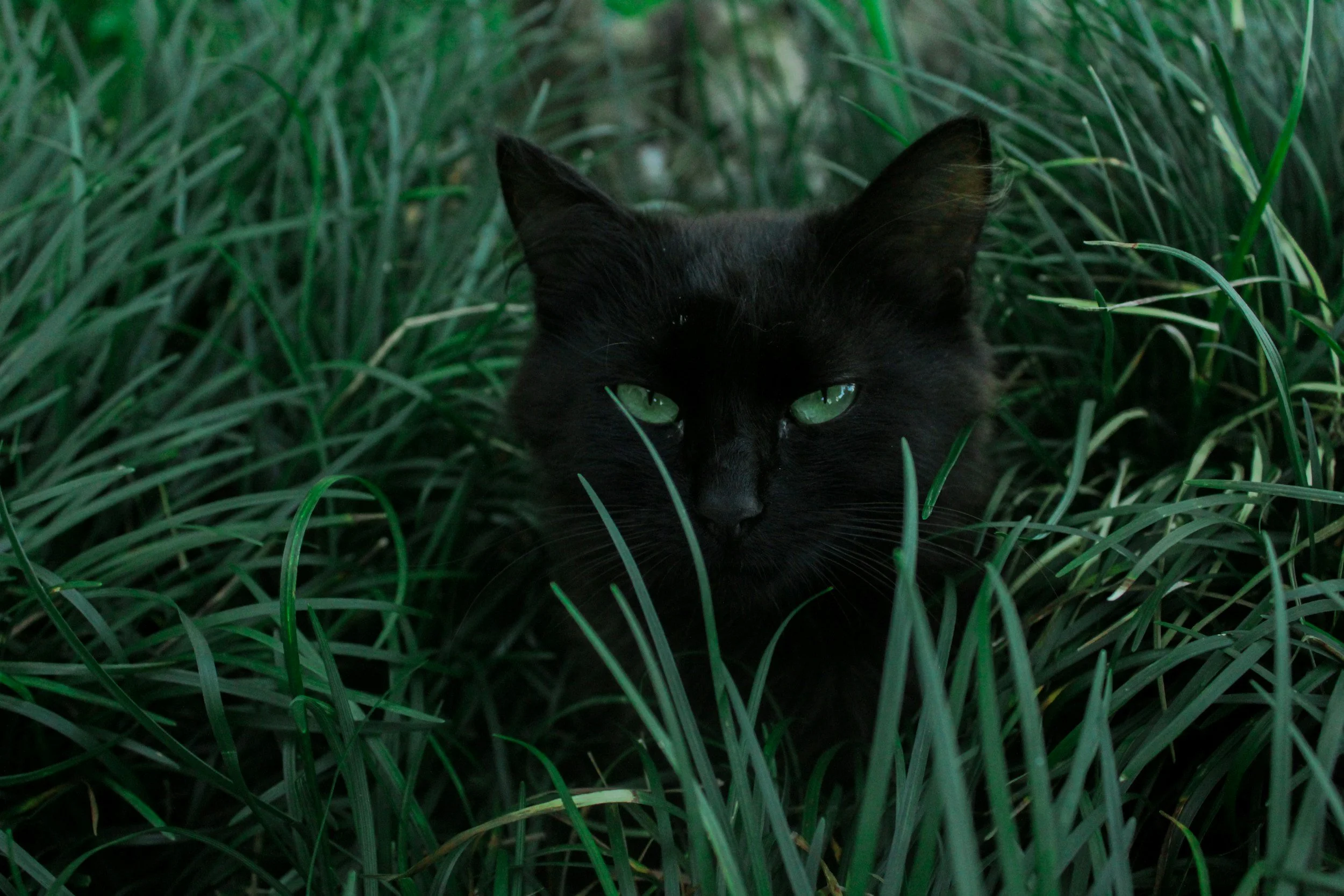 familiar