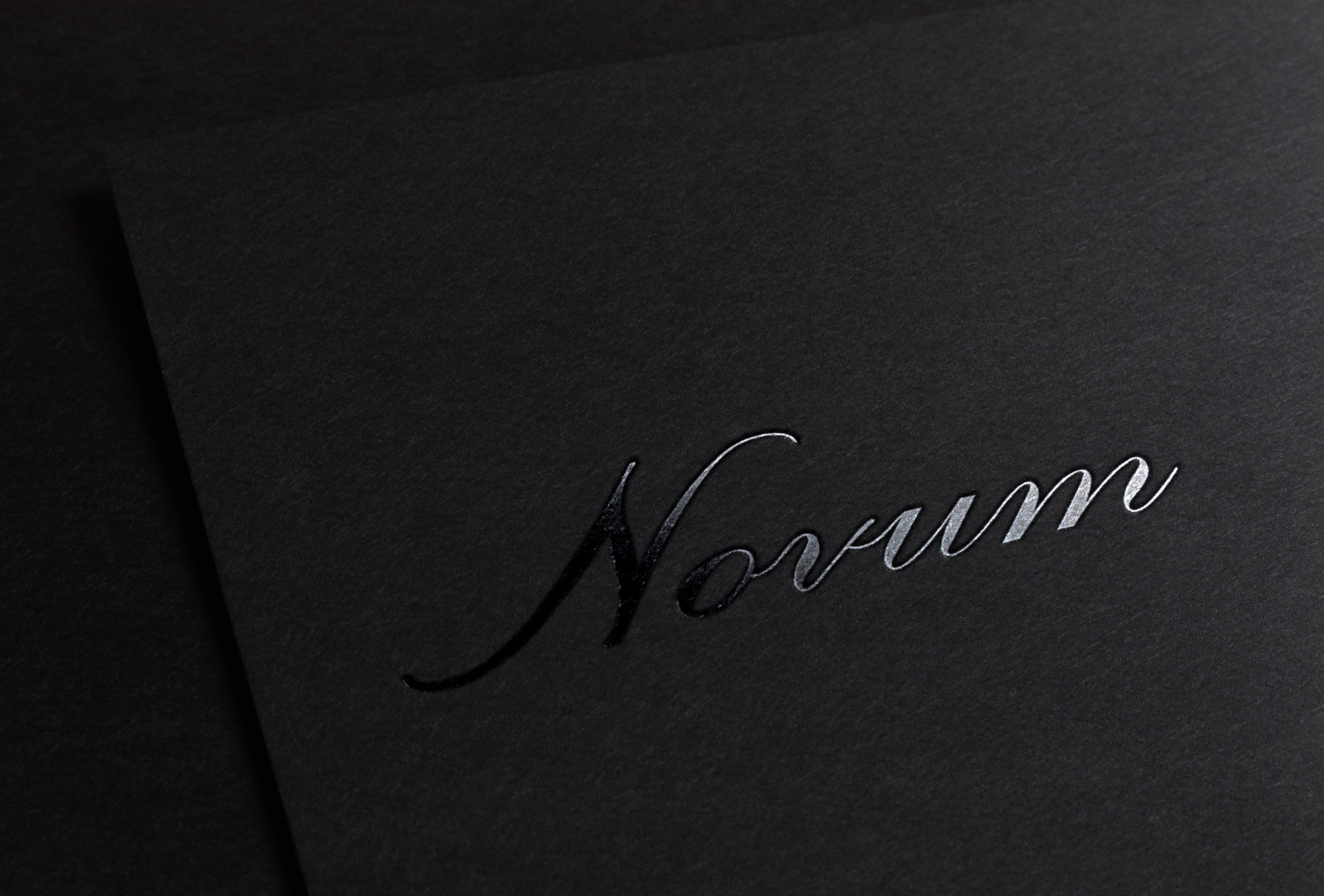 Novum Silver Stamping Logo MockUp_2.jpg