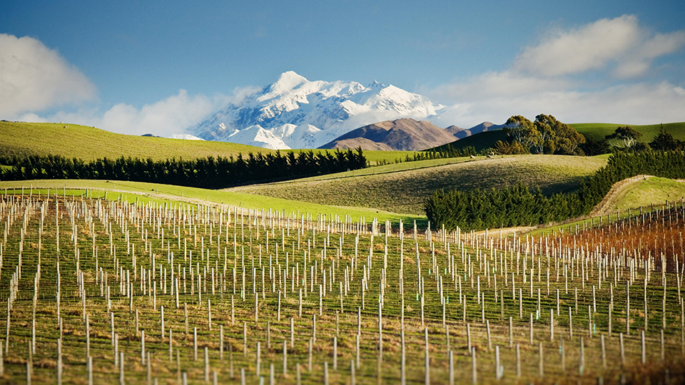 Marlborough is protected from rain and high winds by the surrounding hills and mountain ranges including the 2,885-metre Tapuae-o-Uenuku (often referred to as Mount Tappy by locals).