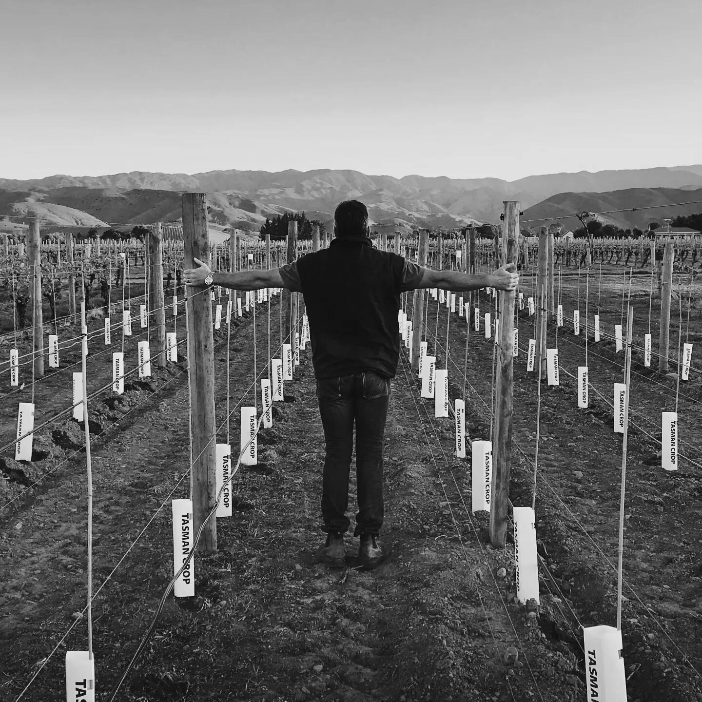 6 years go by so fast! Get ready Founding Members. The first release of Novum Syrah since 2016 opens on Thursday.