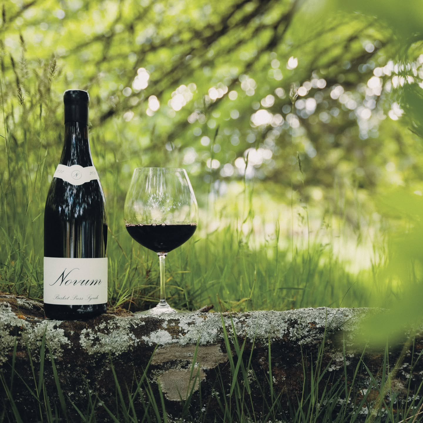 For the love of Syrah! Our annual Founding Members offer opens today! Enjoy everyone 
Photo credit the amazing @adamwalker.nz