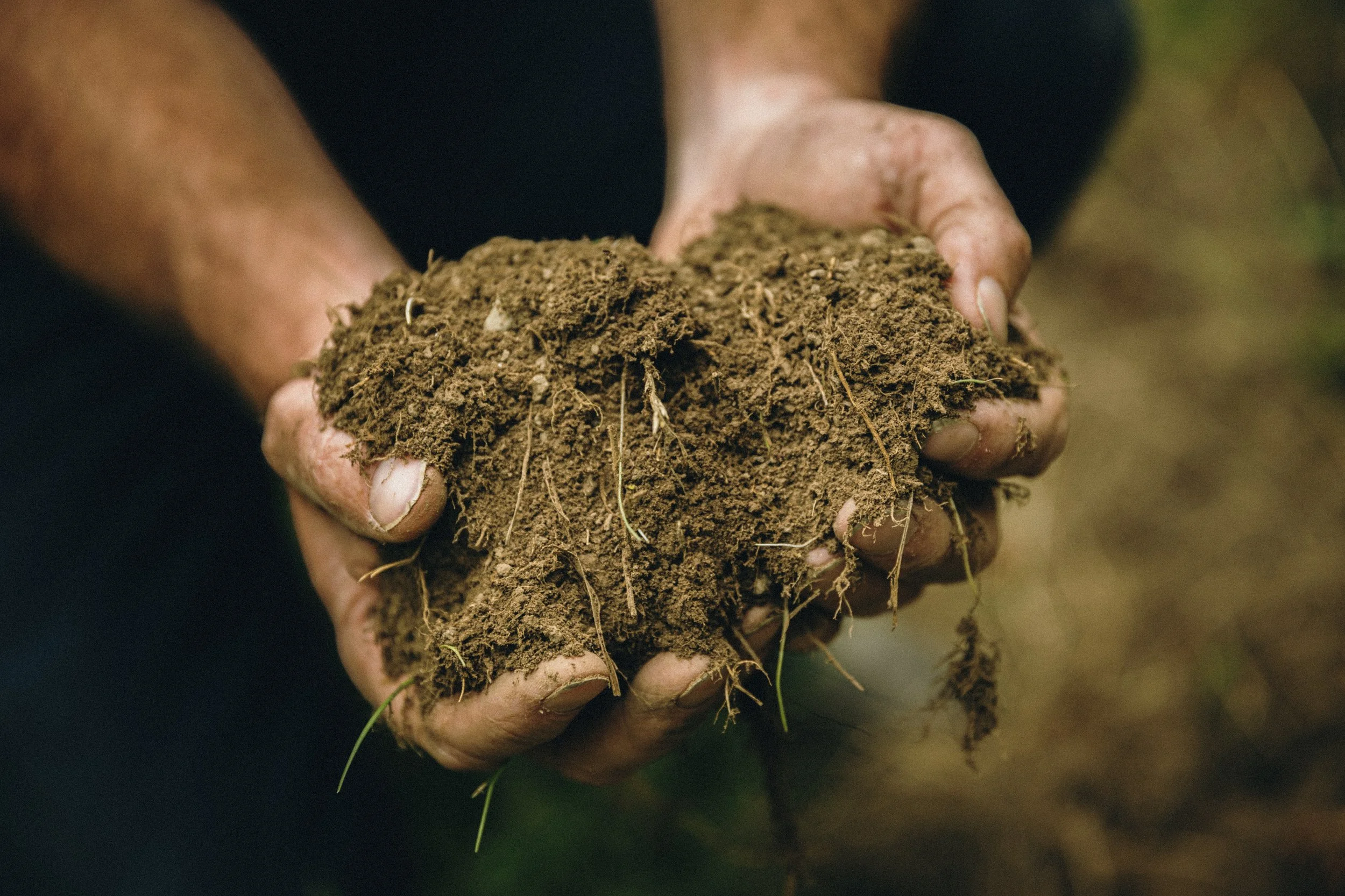 Will holding soil in hands image