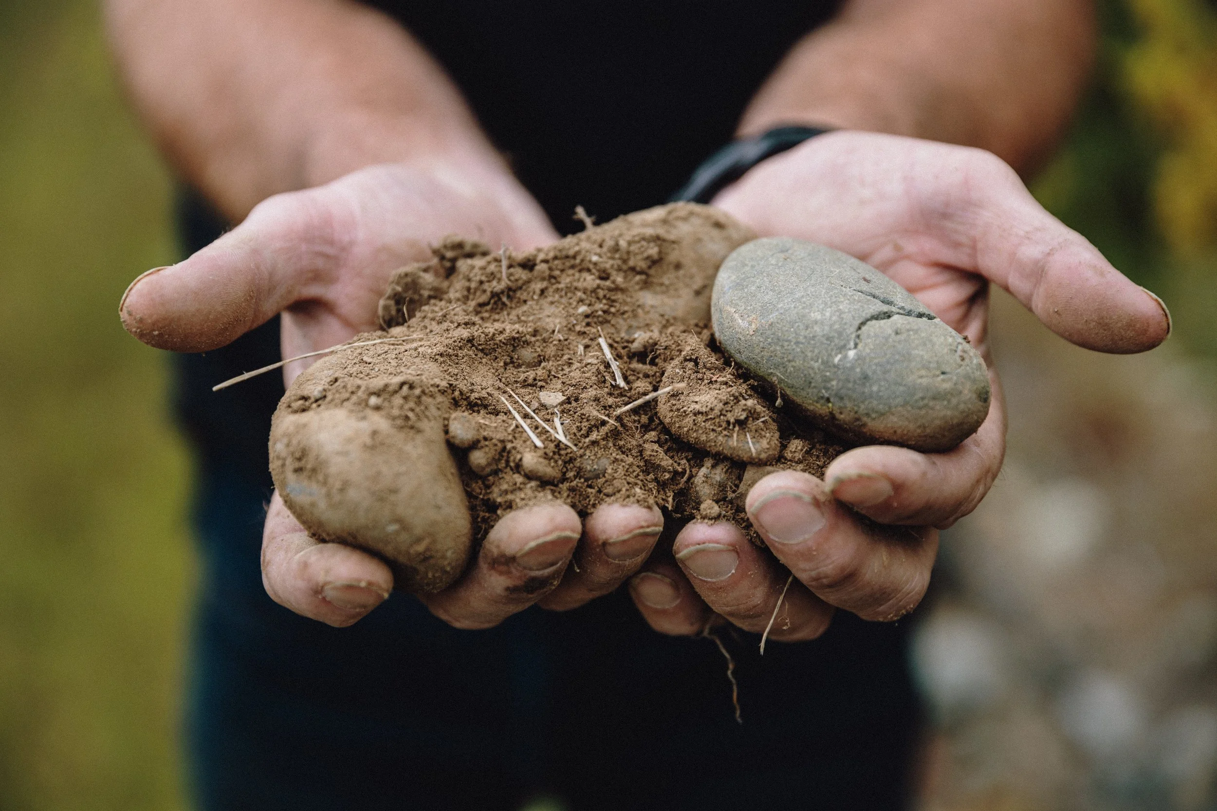 Will holding soil and stones in hands image