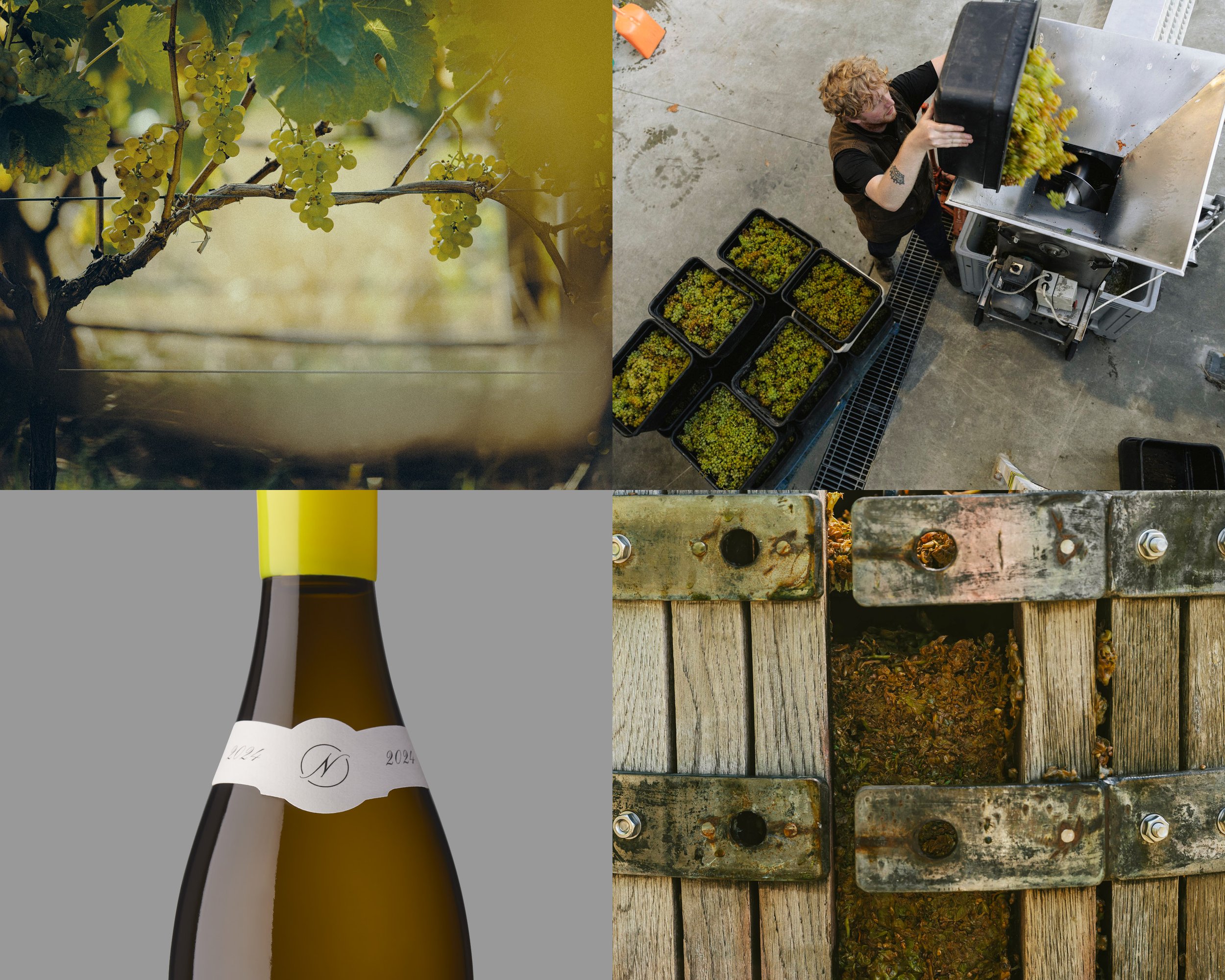 040NW Novum Riverbrook Chardonnay 2024 Grid.jpg