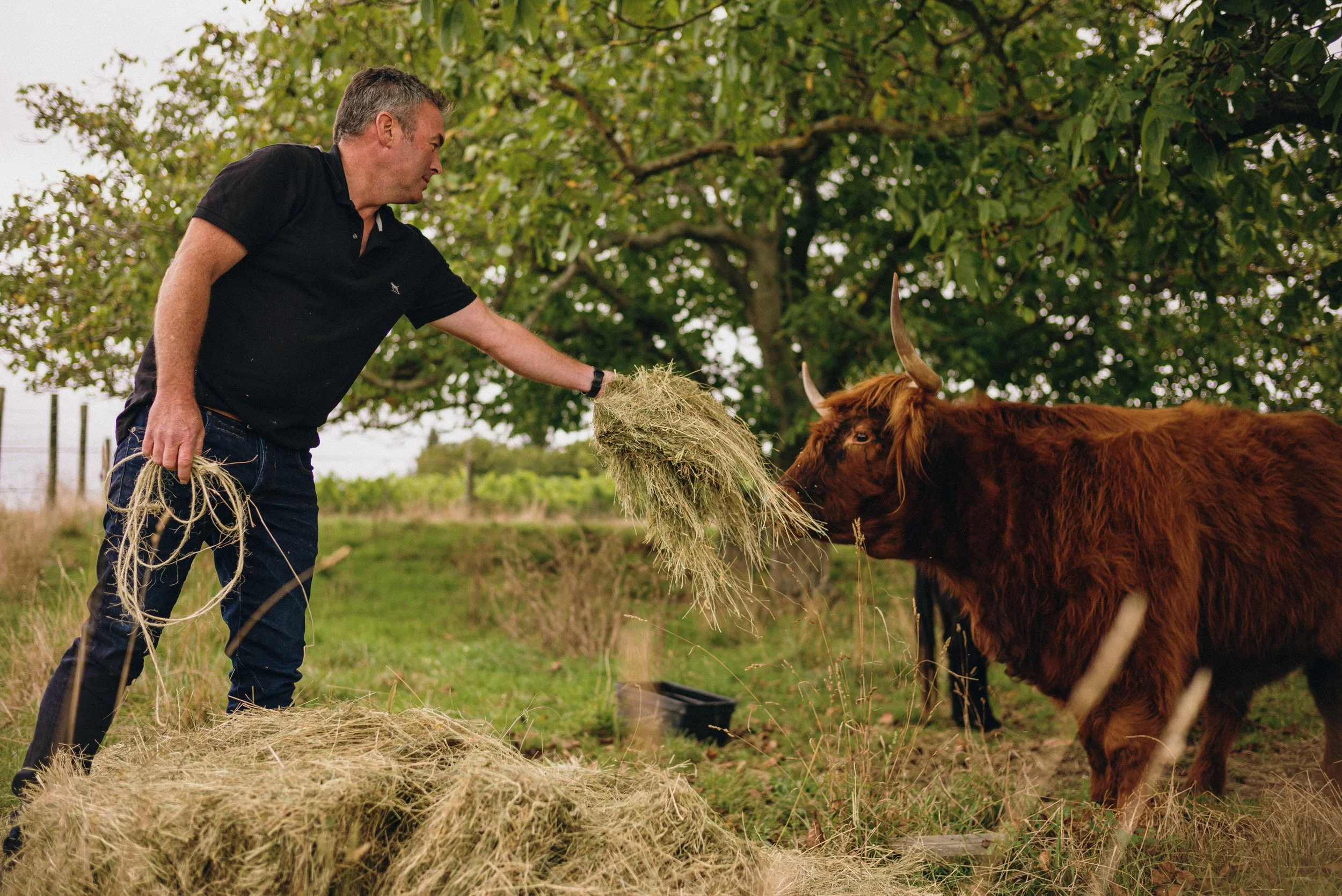 Novum - making compost.jpg