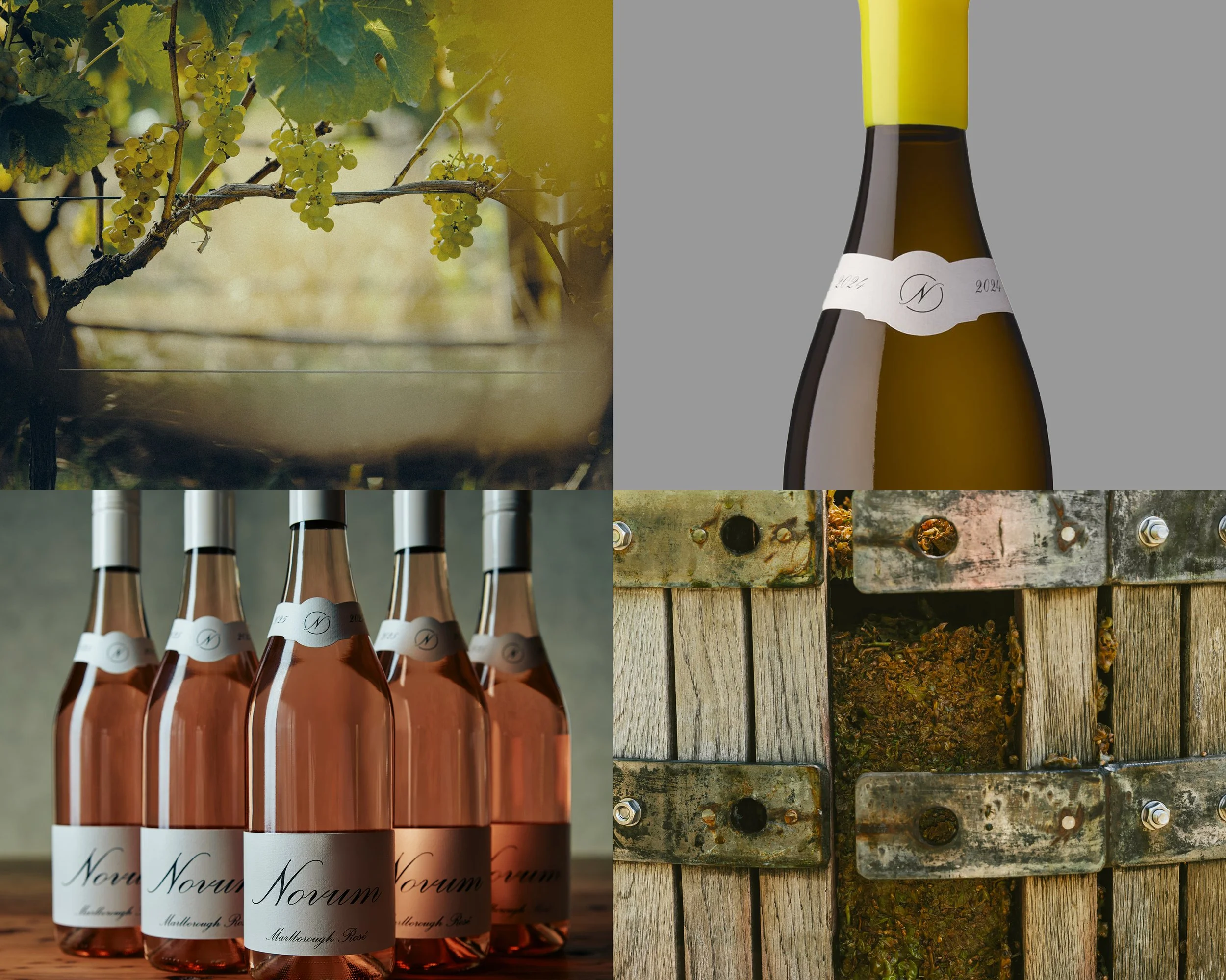 056NW Novum Newsletter Grid Dec 2025.jpg