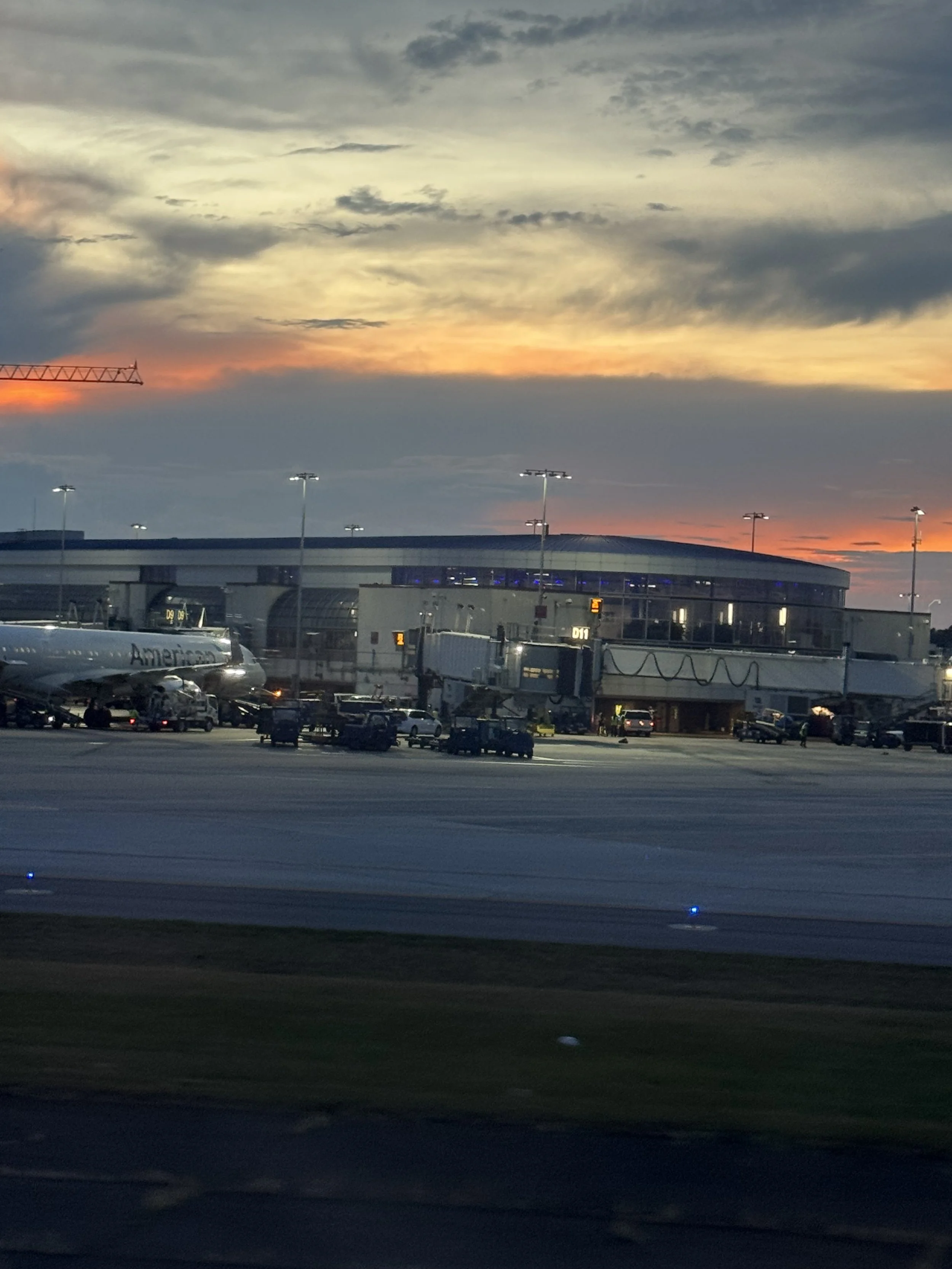 Wisdom Wednesday: Actions Have Consequences—Just Ask Seat 14A