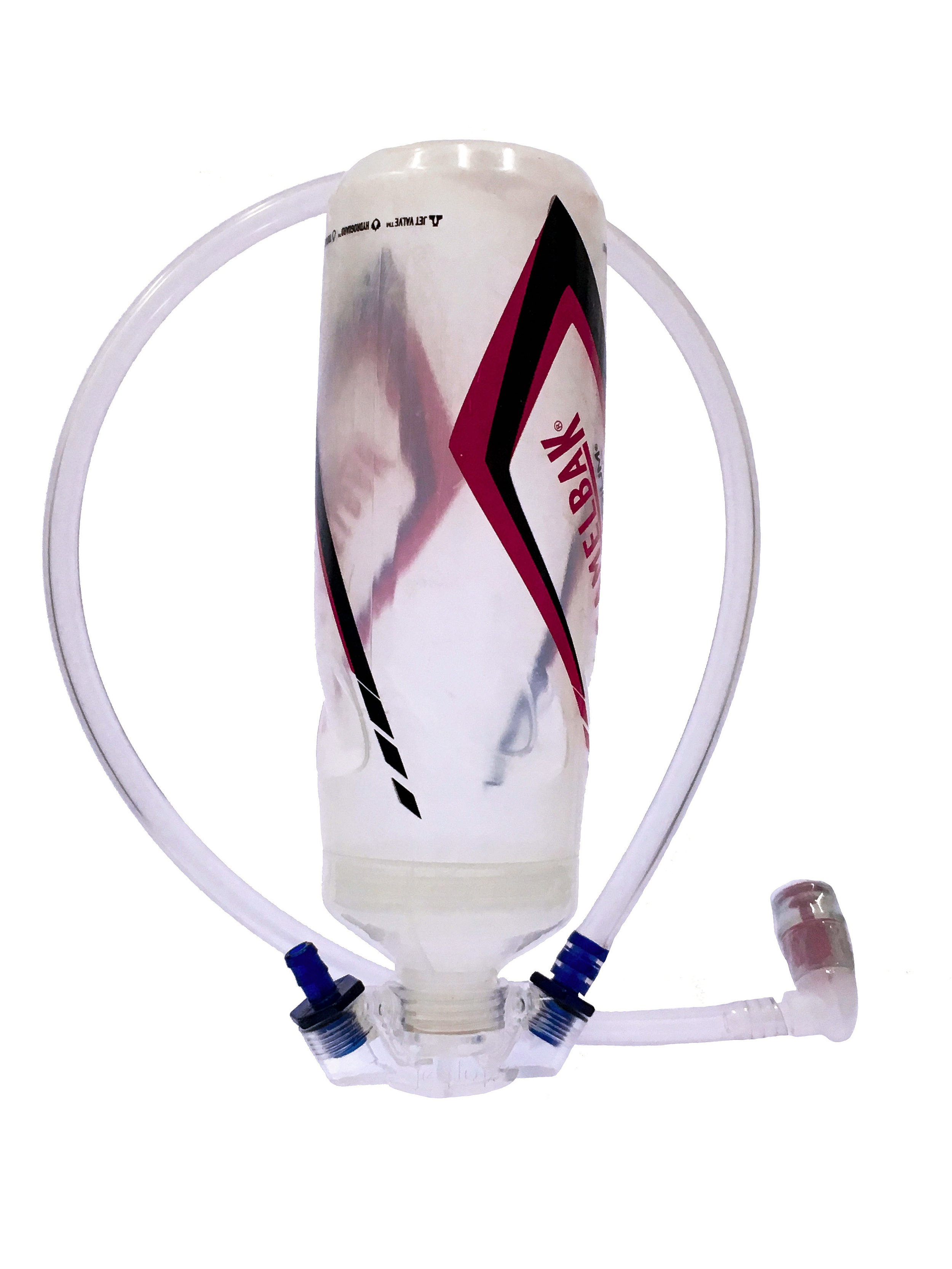 camelback1.jpg