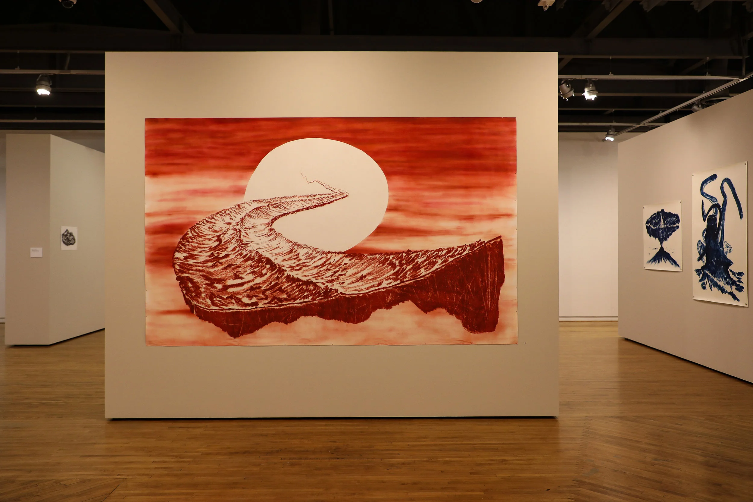 Matías Duville: desert means ocean Exhibition at MOLAA