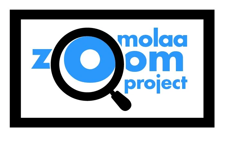 MOLAA Zoom Project: Patrick Martínez