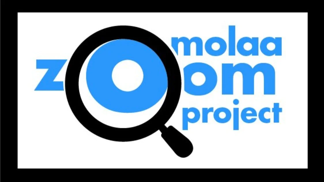 MOLAA Zoom Project – Diana de Solares (Guatemala, 1952) PRE-RECORDED