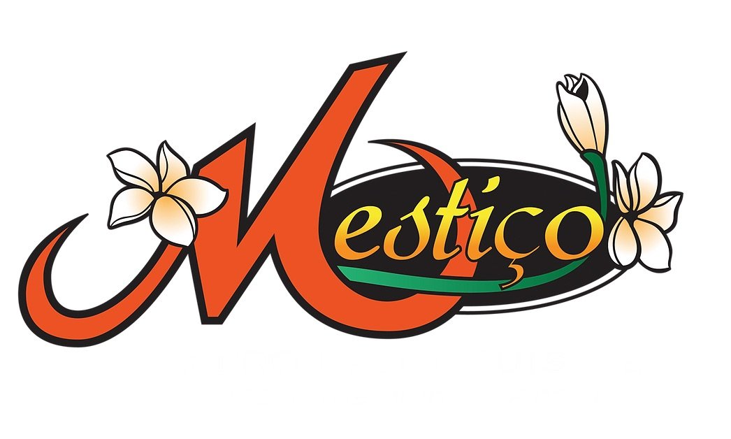 Mestico Logo.jpeg