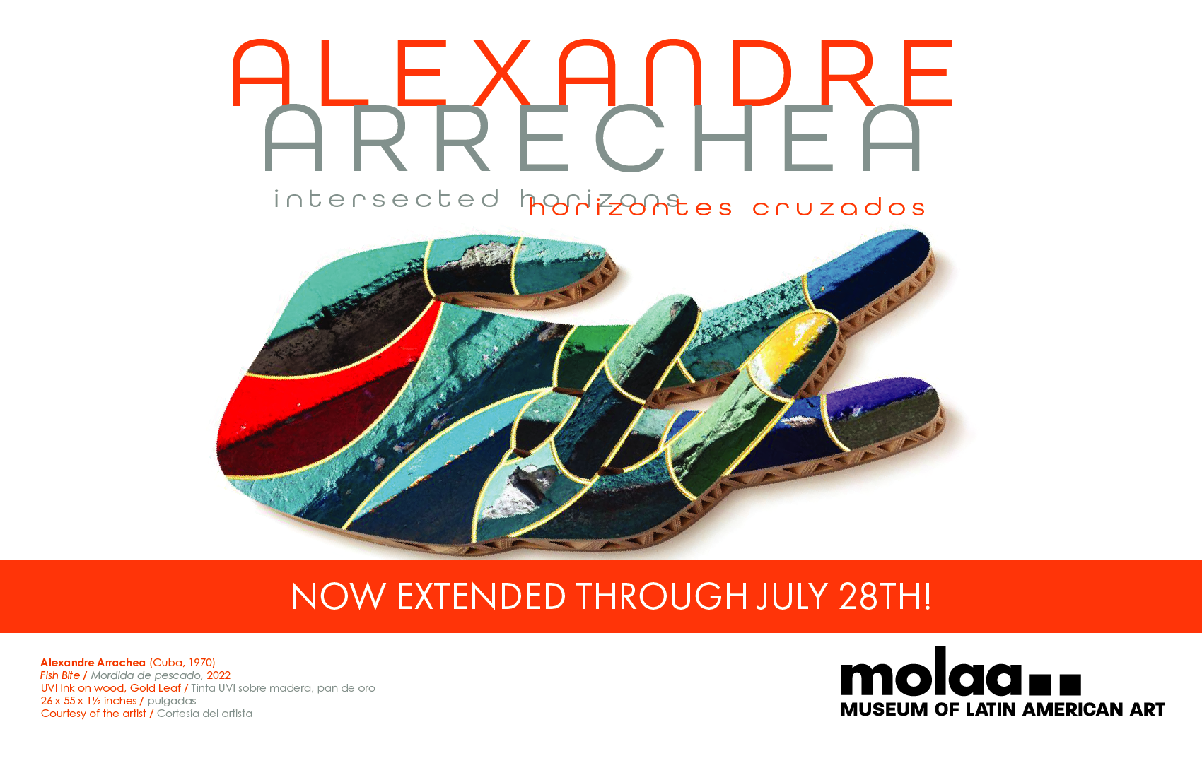 2 Webpage Banner.png