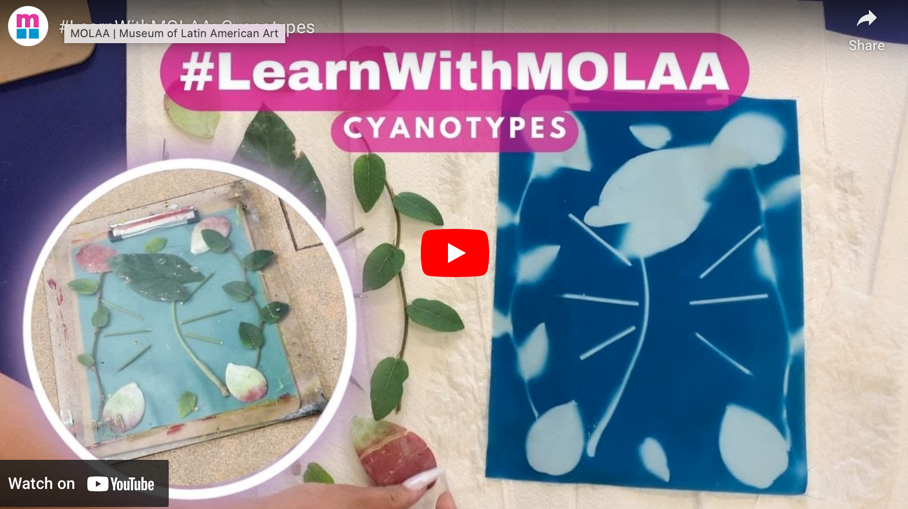 Cyanotypes