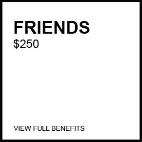 Level-FRIENDS.jpg
