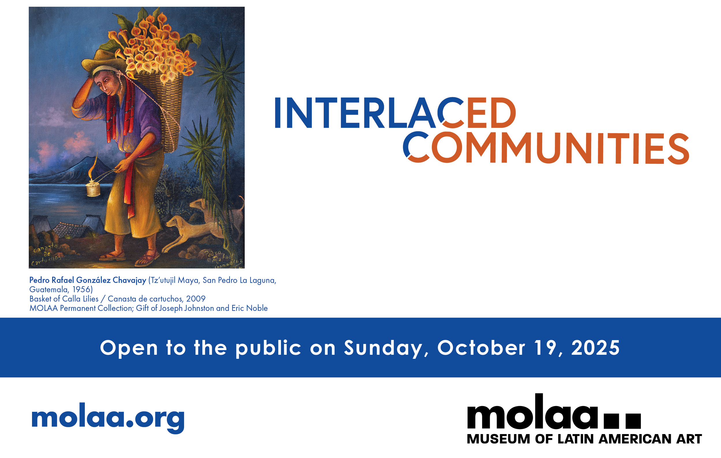 Interlaced Communities Webpage Banner@2x.png