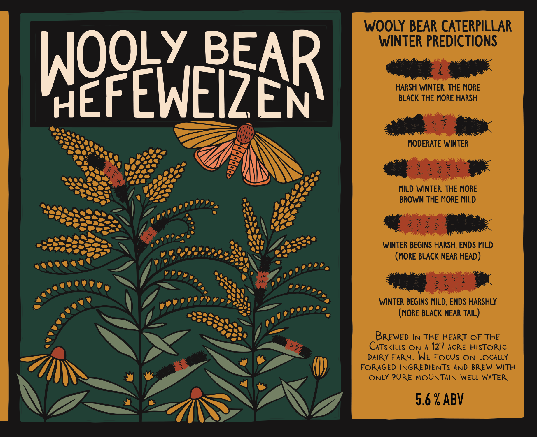woolyweb.png