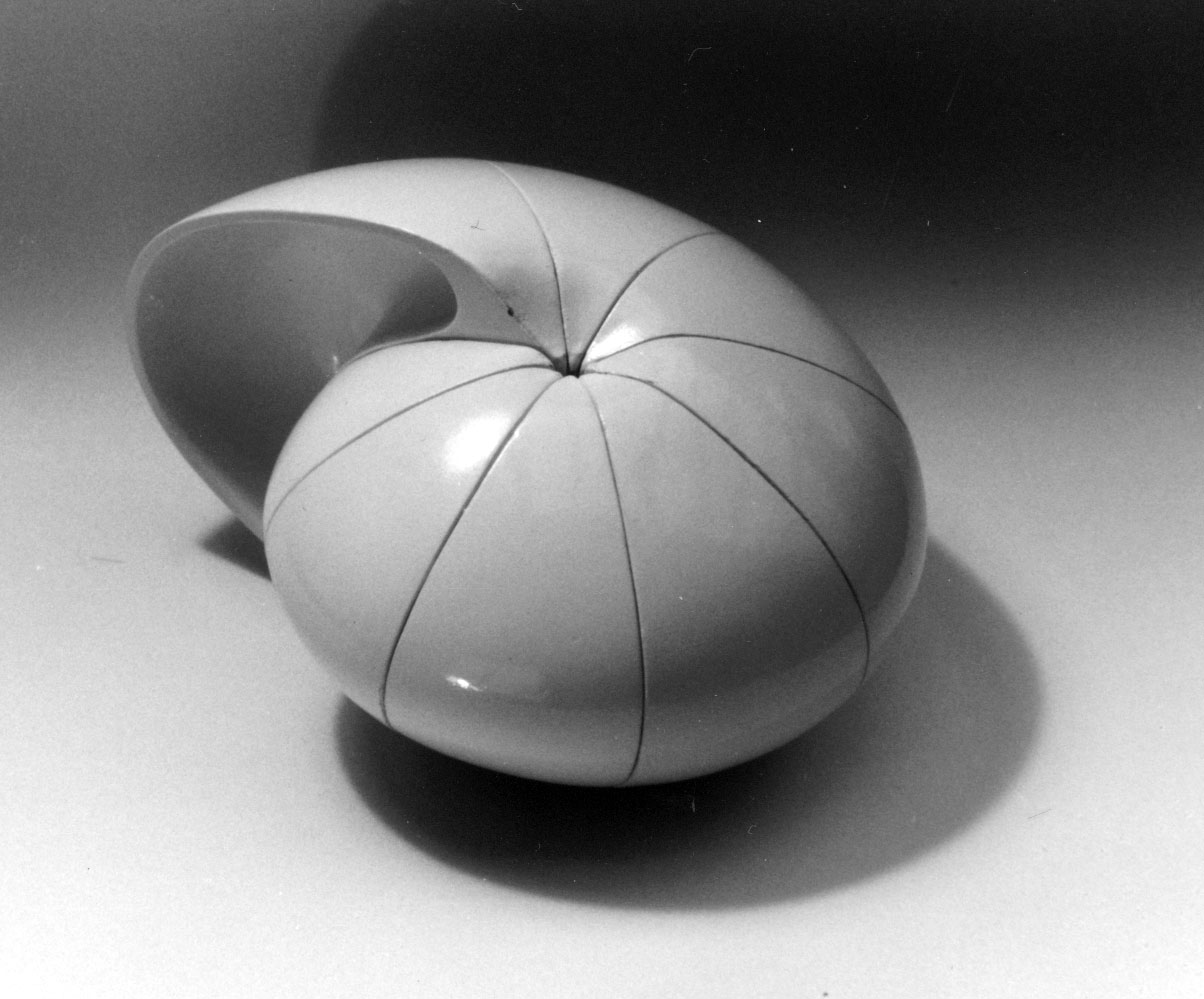 Nautilus mathematical puzzle, 1982