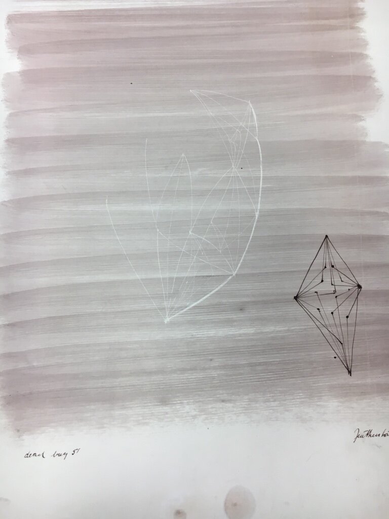 Geometric insect drawing, 1951