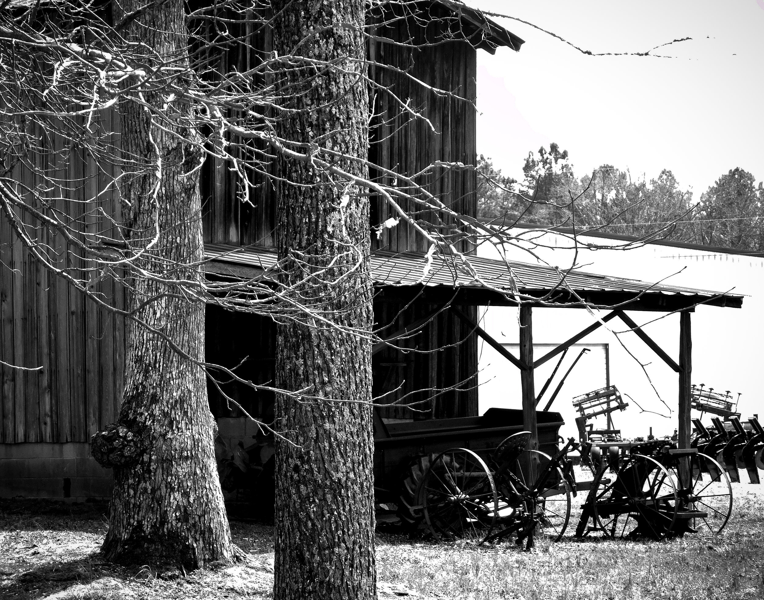 DSCN0042-2.jpg