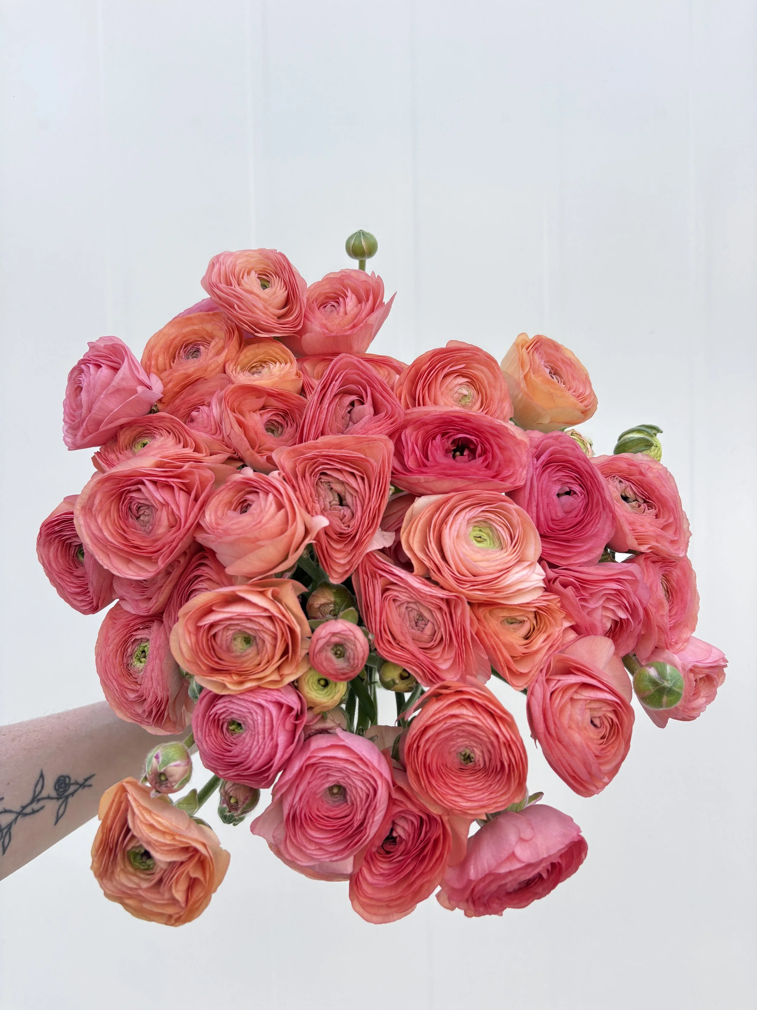 Copy of IMG_9379.JPG