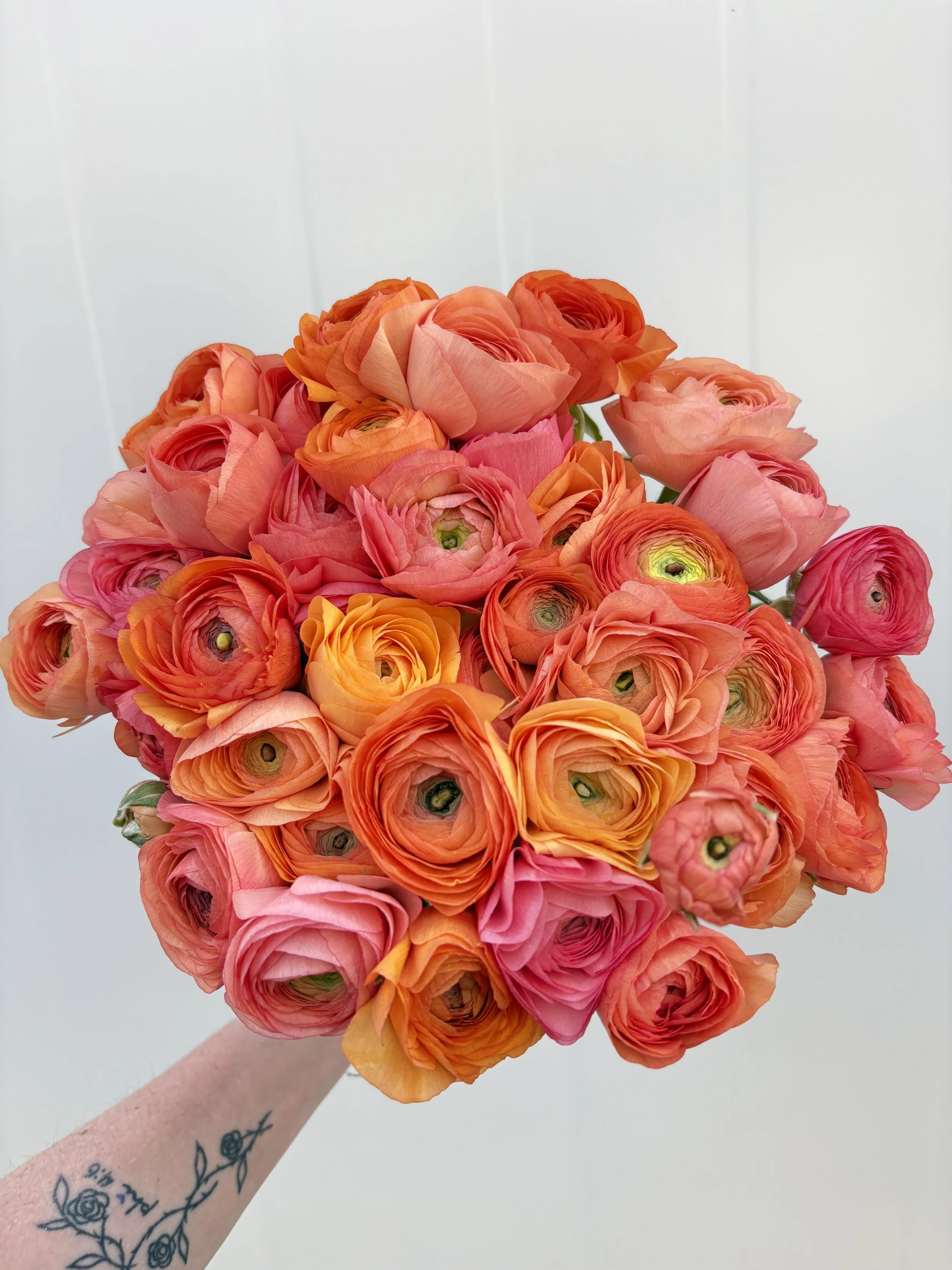 Copy of IMG_9318.JPG