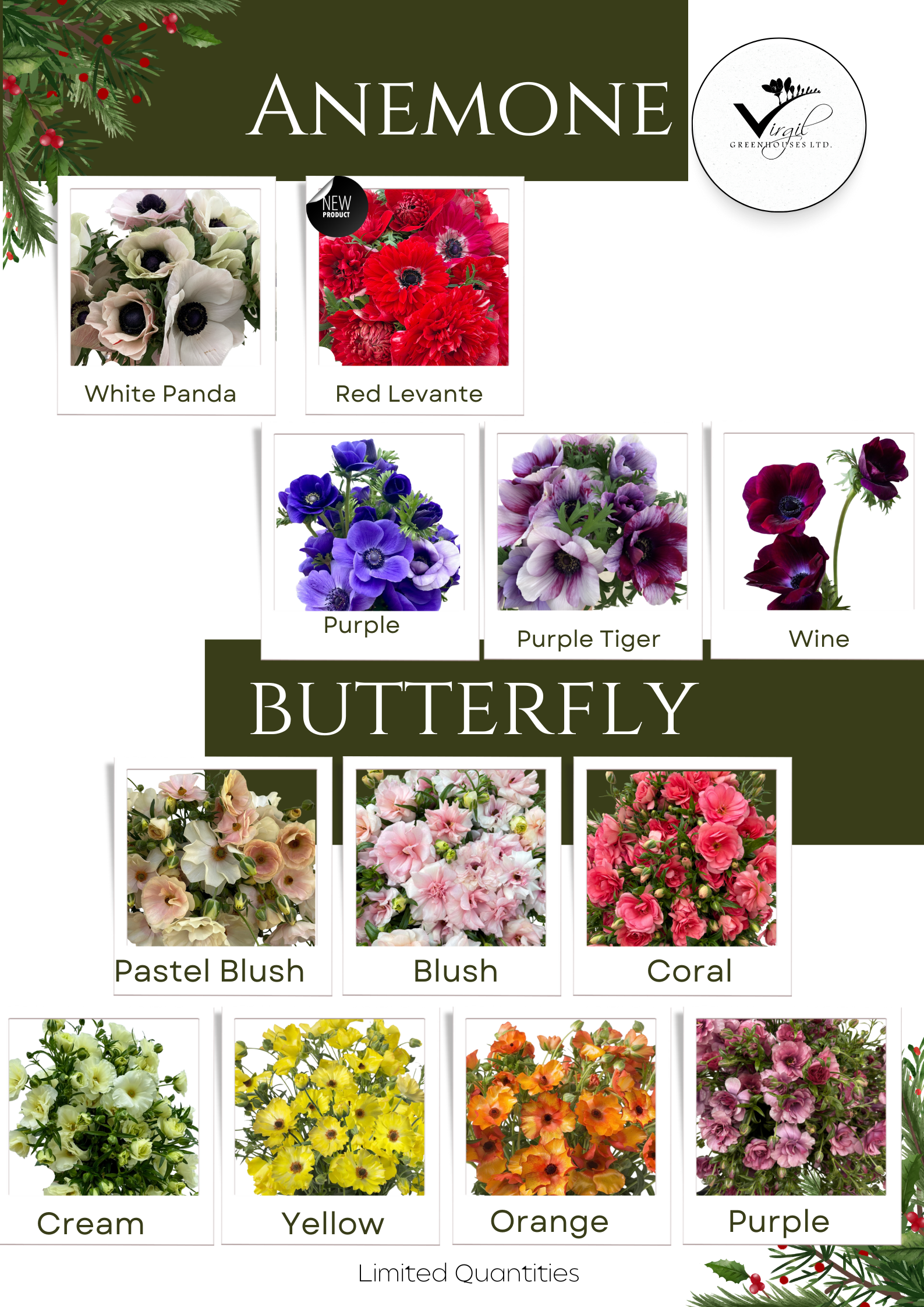 Anemone and Butterfly