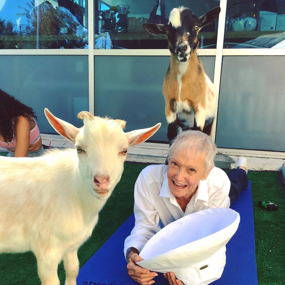 goat yoga 2.jpg
