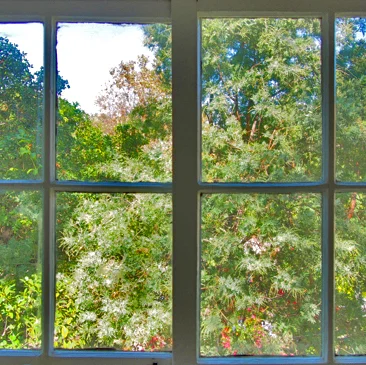 TREE_HOUSE_WINDOW_sq.jpg