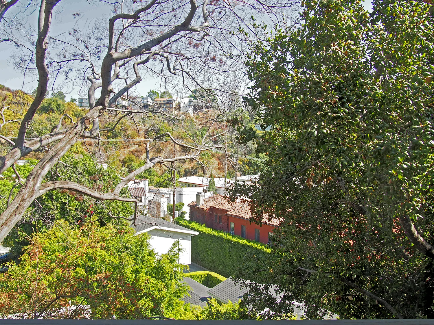 TH_1_View_1_1500.jpg